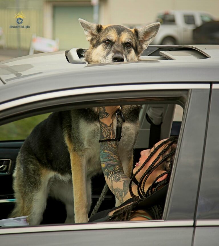The woman raises the dog above the sunroof.