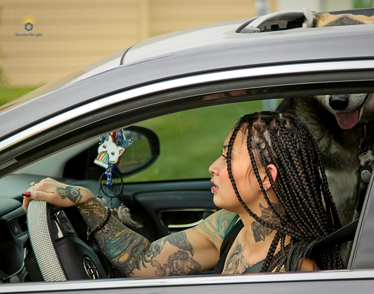 The woman and the dog driving