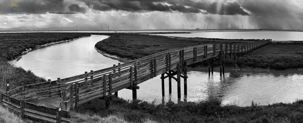 An old wooden footbridge curves over reflective water, leading the eye through light and shadow across a tranquil marsh.