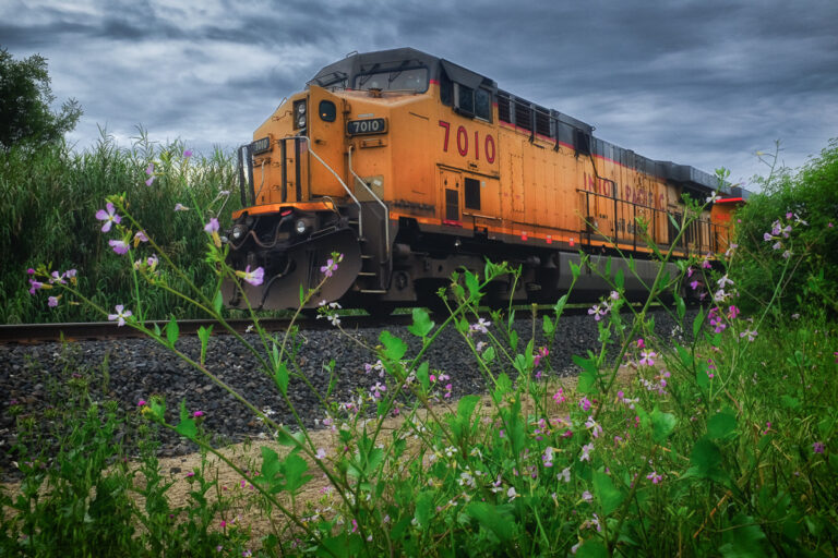 Yellow Union Pacific freight train engine 7010 on tracks with purple and white wildflowers in the foreground under a cloudy sky.