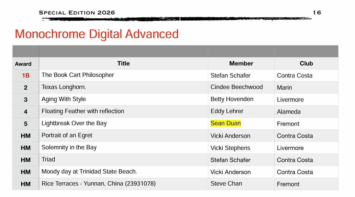 N4C Special Edition 2026 newsletter screenshot showing Lightbreak Over the Bay by Yun Chen receiving 5th place in Monochrome Digital Advanced category.