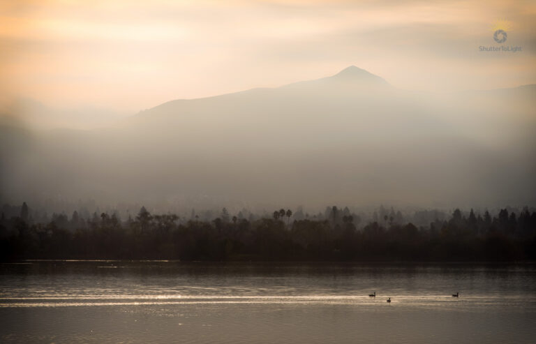 Mission Peak emerging through low morning fog above a still lake in Fremont’s Central Park, with warm light and soft atmospheric layers.