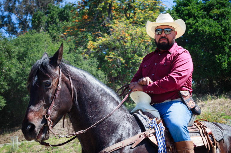 A rider in a maroon shirt sits on a dark horse, the white hat catching strong sunlight while the green background falls softly behind him.