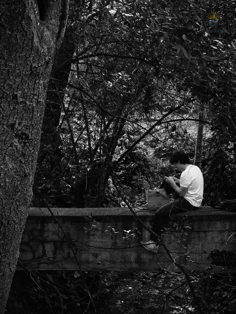 A lone figure sits quietly on a narrow concrete bridge above a shaded creek in Berkeley, surrounded by dense foliage, captured in black and white.